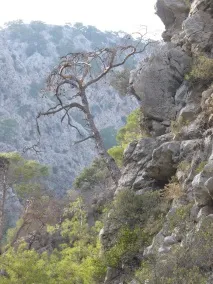 Каньйон Гейнюк каньйон