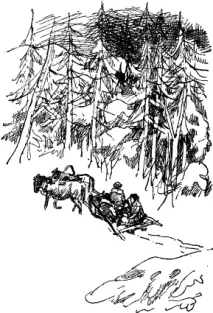 Книга Не для дорослих Таня