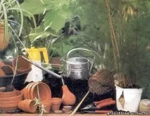 Корінь цикламена від гайморитуКімнатні рослини - Здоров’я Інфо корінь