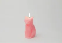 кішки