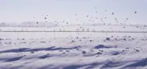 Курорт у зоні вічної мерзлоти мерзлоти