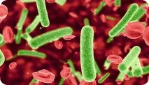 Лікування хронічної мієлоїдної лейкемії - Медичний портал EUROLAB лікування