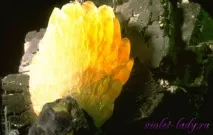 Магічна сила каміння каміння