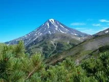 Камчатки