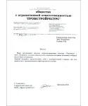 флейки