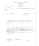 флейки