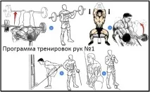 Як накачати руки Повне качательное керівництво руки