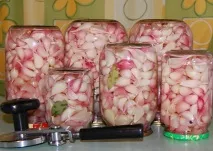 Як маринувати часник у домашніх умовах рецепт на зиму, Ekskyl маринувати