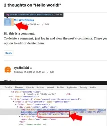 Як змінити розмір зображення Gravatar у WordPress розмір