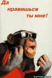 поради