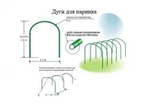 дуги