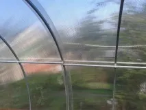 дуги