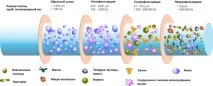 Мембранний фільтр для очищення води особливості та різновиди води