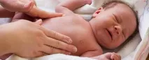 мегаколону