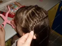 доньки