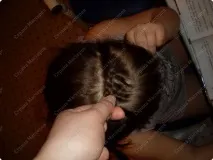 змійка