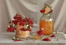 Народні способи лікування – маска з калини від прищів маска