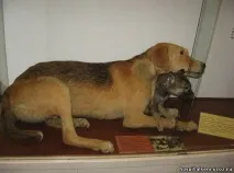 Павлов