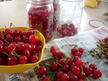 Настоянка на вишні настоянку