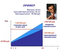 Накопичувальне страхування життя, фінансова подушка та план фінансового захисту. накопичувальне