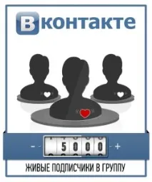 Накрутка лайків та передплатників до групи Вконтакте лайків