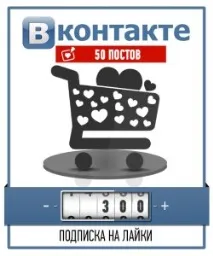 Накрутка лайків та передплатників до групи Вконтакте передплатників