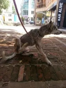 асфальті