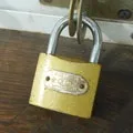 Не гавкає - пошук слів за маскою та визначенням, відповіді на сканворди слів