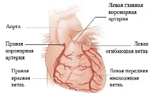 трохи