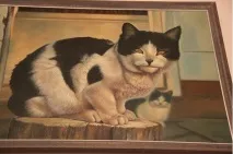 Незвичайний Музей котів в Амстердамі кішок
