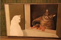 Незвичайний Музей котів в Амстердамі незвичайний
