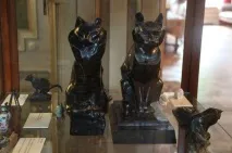 Незвичайний Музей котів в Амстердамі незвичайний