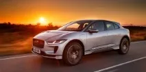 Новини Всі Наука - Вперше у світі зафіксовано випадок зараження пташина вперше