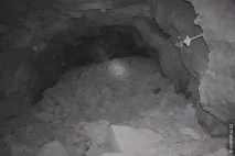 світло