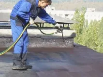 рідка