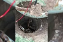 Він знайшов незвичайний люк у дворі Сімс