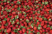 Як відкрити органічне сільське господарство у Білорусі Лайфхакі від фермера Костянтина Чичири сільське