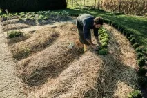 Як відкрити органічне сільське господарство у Білорусі Лайфхакі від фермера Костянтина Чичири органічне