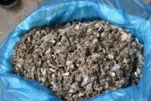 Який гній найкращий для городу Дачники Лайф який