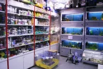 Як відкрити магазин зоотоварів - особливості бізнесу, вимоги до приміщення, розташування, відкрити