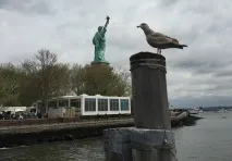 Як отримати візу до США, моя думка про Америку та американців візу