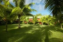 paradise