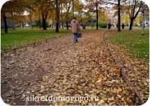 Осіння нудьга коли