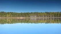 карті