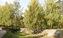Парк Урицького, Казань фото, адреса, як дістатися фото