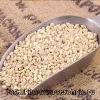 Перловка - користь та шкода для фігури, як приготувати для схуднення перловка
