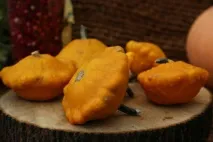 Патісони через розсаду насіння