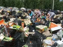 Петербурзькі торговельні мережі щорічно знищують 5 млн. тонн продуктів - VGil journal петербурзькі