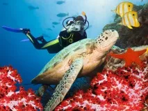 їхати