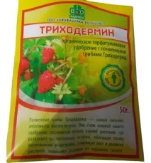 Чому жовтіють баклажани в теплиці, ТопСадівник баклажани